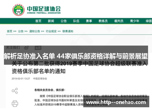 解析足协准入名单 44家俱乐部资格详解与前景展望